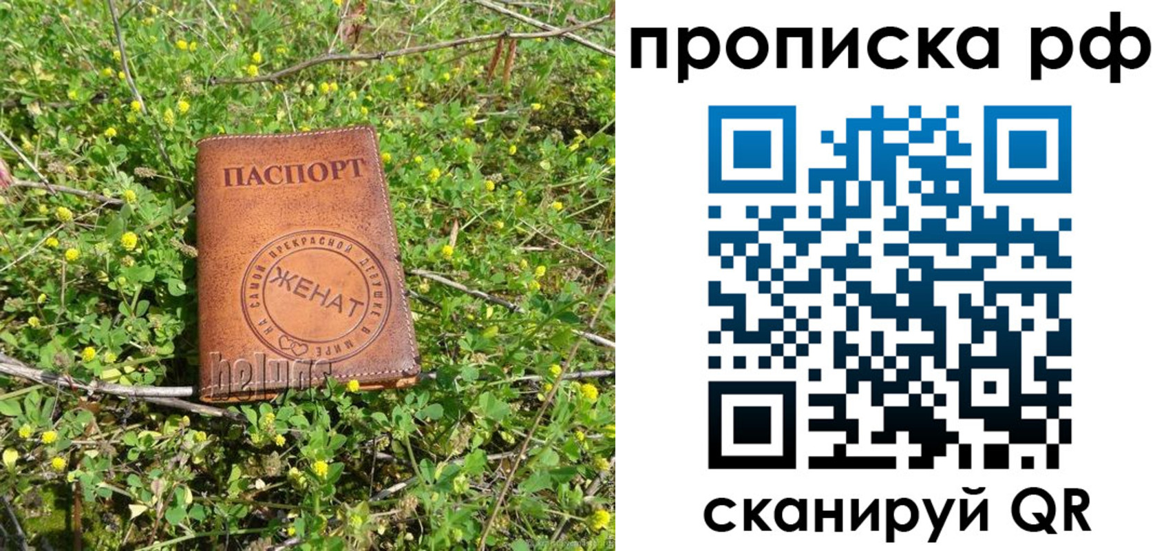 прописка паспорт в Киржаче